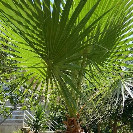 With Garden, 500 M To Beach, Close To *